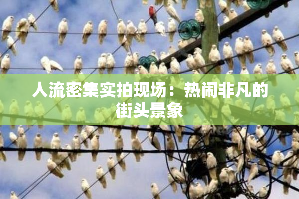 人流密集实拍现场：热闹非凡的街头景象