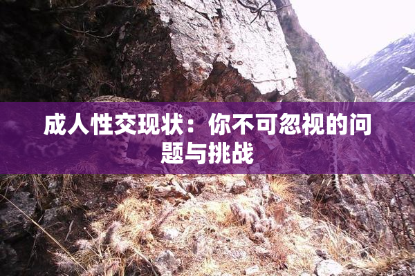 成人性交现状：你不可忽视的问题与挑战