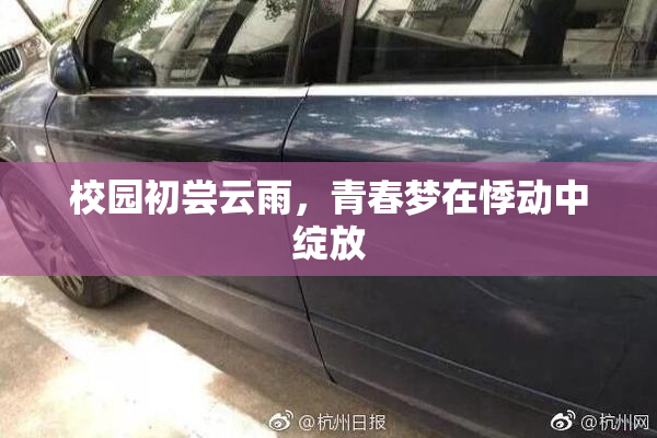 校园初尝云雨，青春梦在悸动中绽放