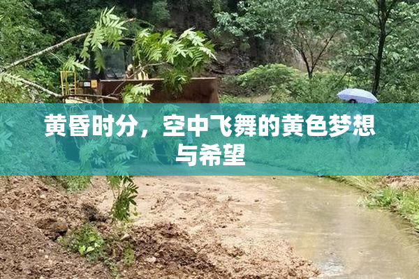 黄昏时分，空中飞舞的黄色梦想与希望