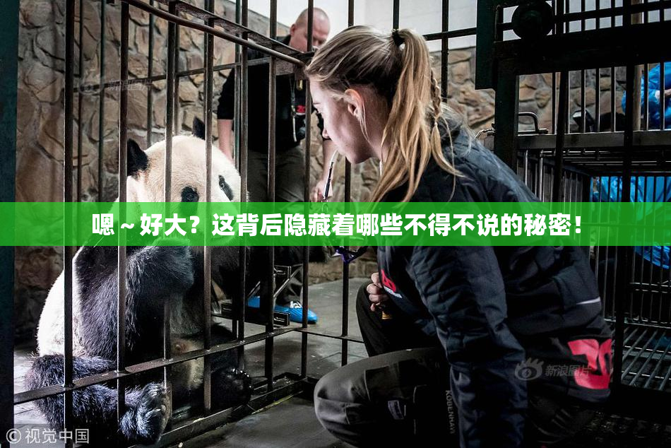 嗯～好大？这背后隐藏着哪些不得不说的秘密！