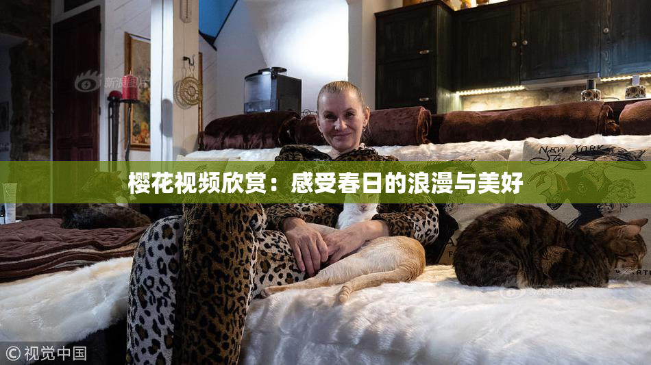 樱花视频欣赏：感受春日的浪漫与美好