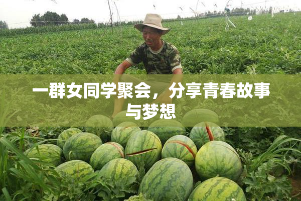 一群女同学聚会，分享青春故事与梦想