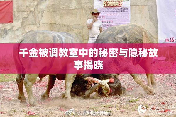 千金被调教室中的秘密与隐秘故事揭晓