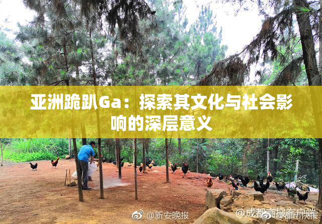 亚洲跪趴Ga：探索其文化与社会影响的深层意义