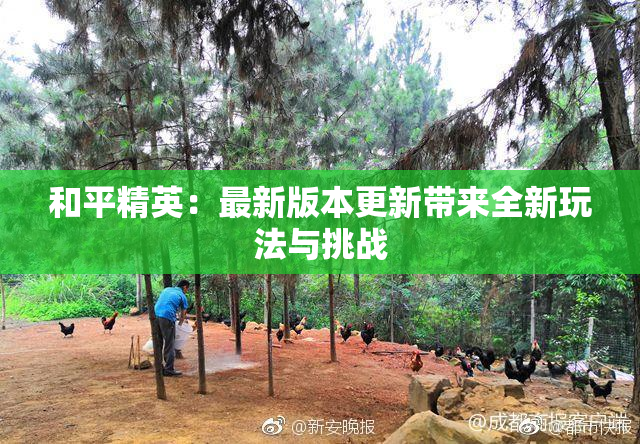和平精英：最新版本更新带来全新玩法与挑战