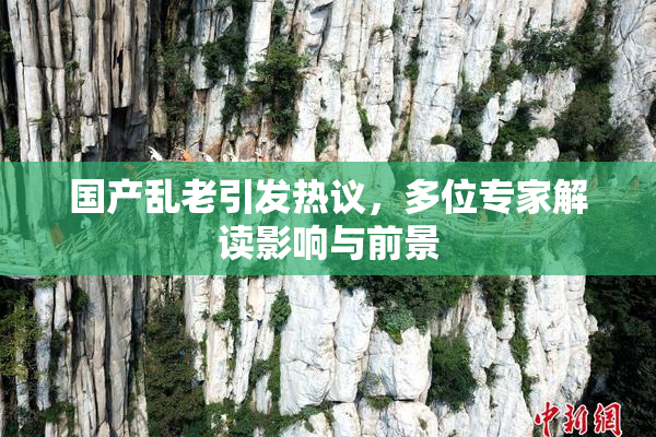 国产乱老引发热议，多位专家解读影响与前景