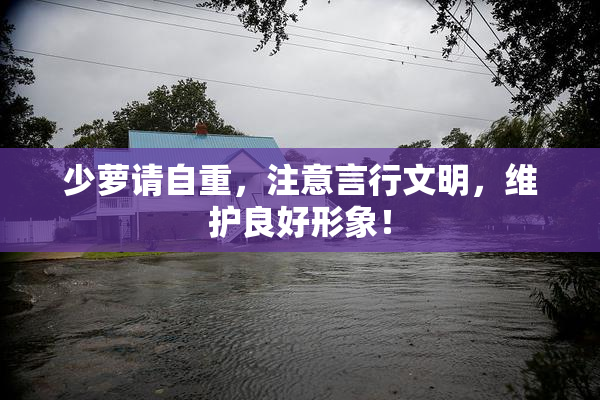 少萝请自重，注意言行文明，维护良好形象！