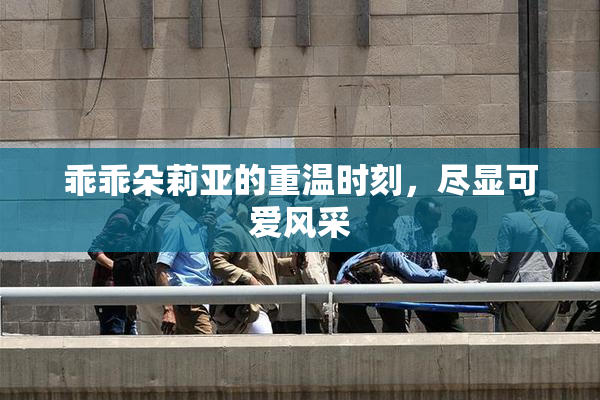乖乖朵莉亚的重温时刻，尽显可爱风采
