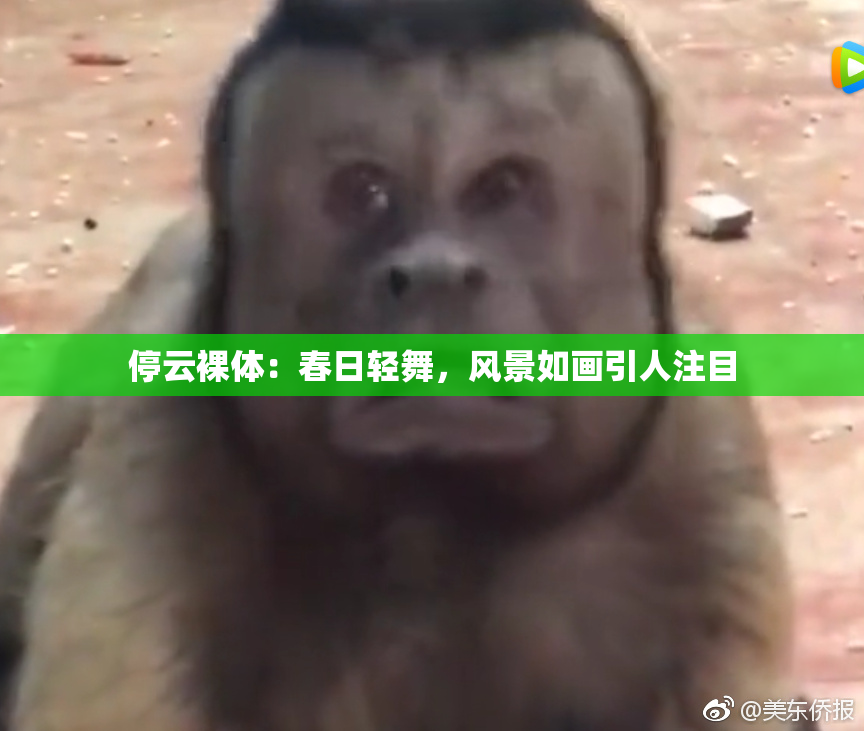 停云裸体：春日轻舞，风景如画引人注目