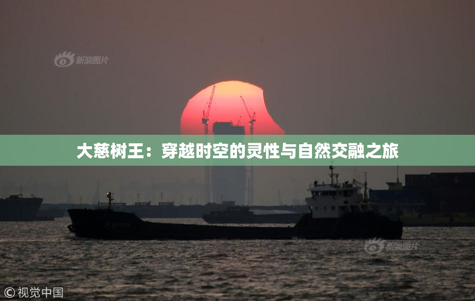 大慈树王：穿越时空的灵性与自然交融之旅