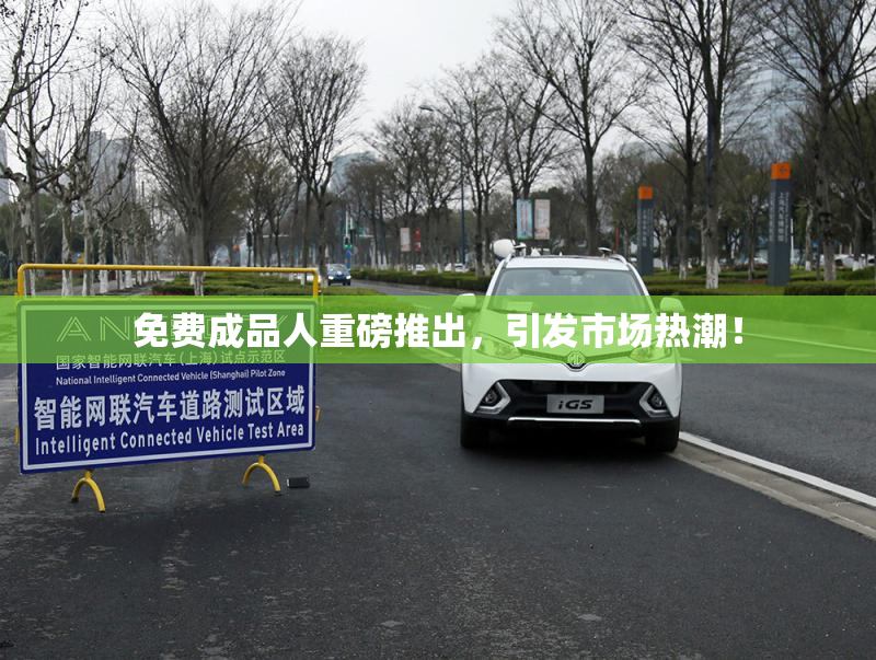 免费成品人重磅推出，引发市场热潮！