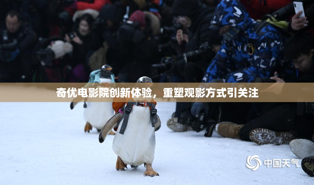 奇优电影院创新体验，重塑观影方式引关注