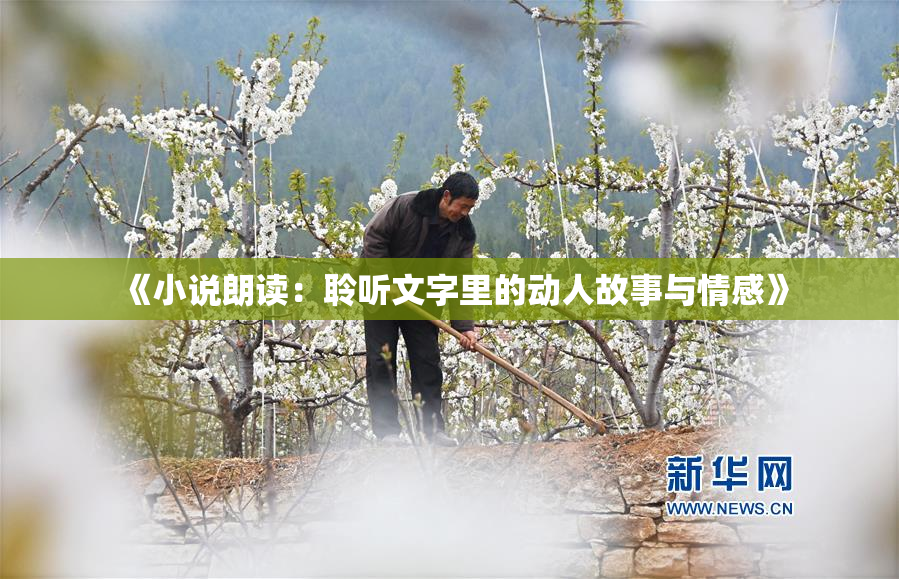 《小说朗读：聆听文字里的动人故事与情感》