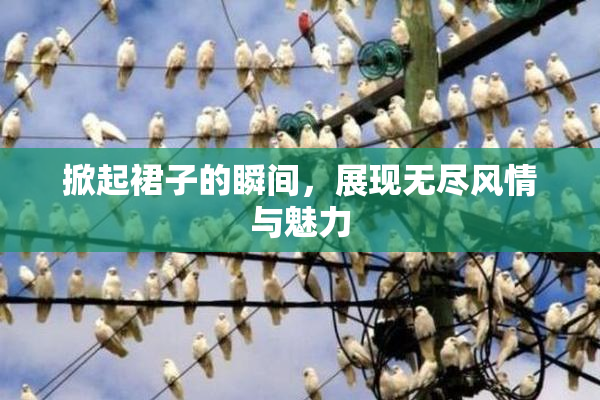 掀起裙子的瞬间，展现无尽风情与魅力