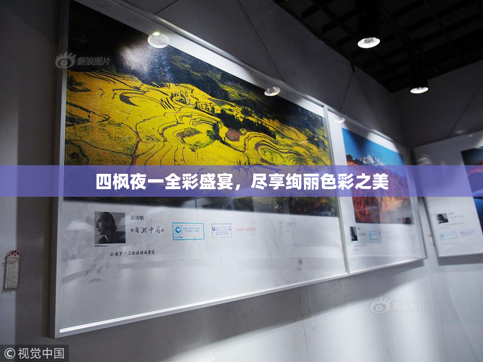 四枫夜一全彩盛宴，尽享绚丽色彩之美