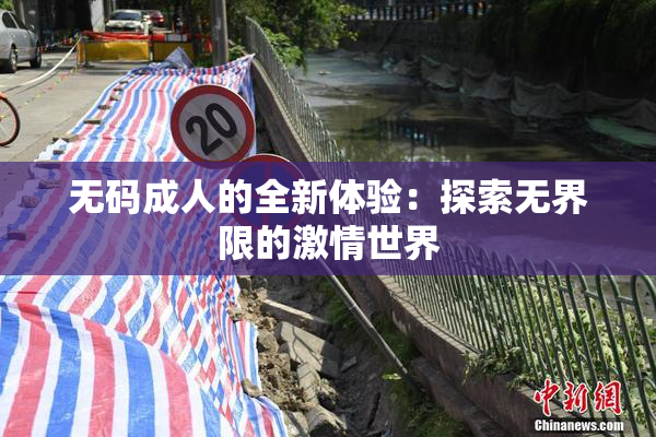 无码成人的全新体验：探索无界限的激情世界