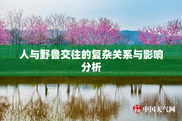 人与野鲁交往的复杂关系与影响分析