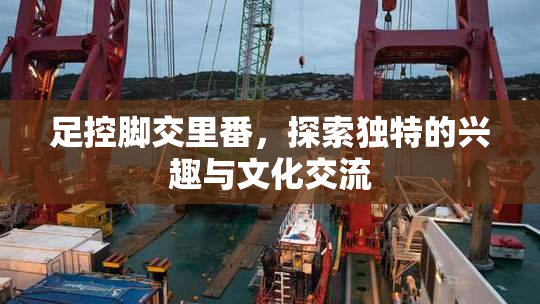 足控脚交里番，探索独特的兴趣与文化交流