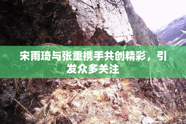 宋雨琦与张重携手共创精彩，引发众多关注
