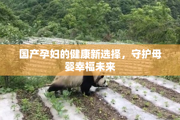 国产孕妇的健康新选择，守护母婴幸福未来