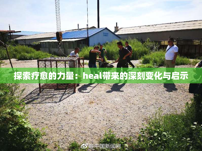 探索疗愈的力量：heal带来的深刻变化与启示
