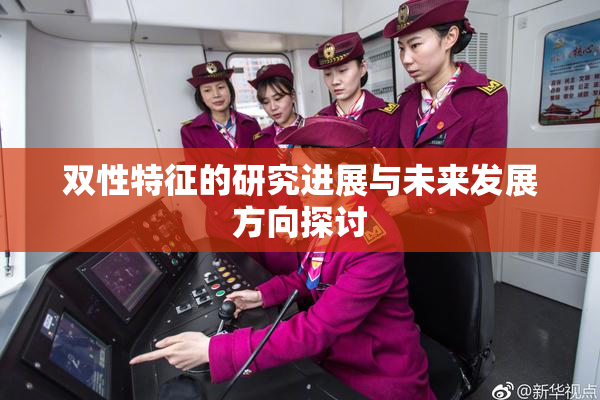 双性特征的研究进展与未来发展方向探讨