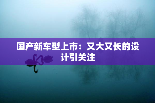 国产新车型上市：又大又长的设计引关注
