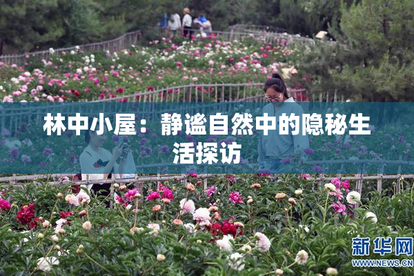 林中小屋：静谧自然中的隐秘生活探访