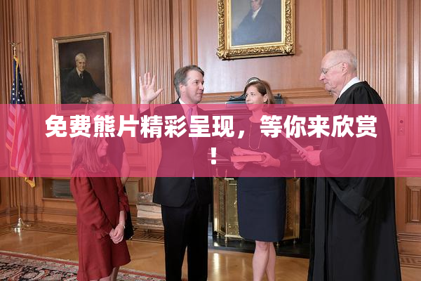 免费熊片精彩呈现，等你来欣赏！