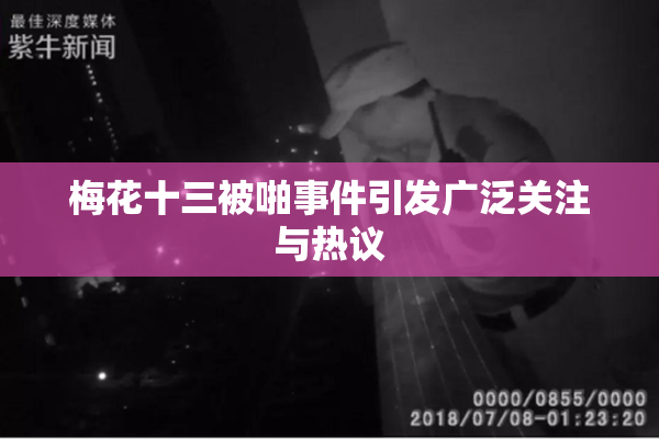 梅花十三被啪事件引发广泛关注与热议