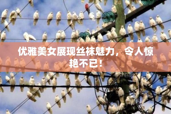 优雅美女展现丝袜魅力，令人惊艳不已！