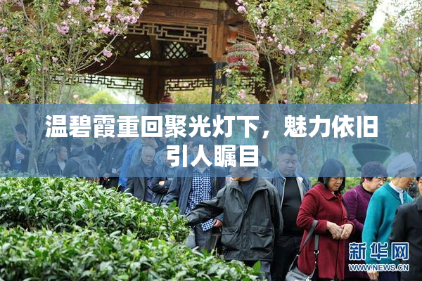 温碧霞重回聚光灯下，魅力依旧引人瞩目