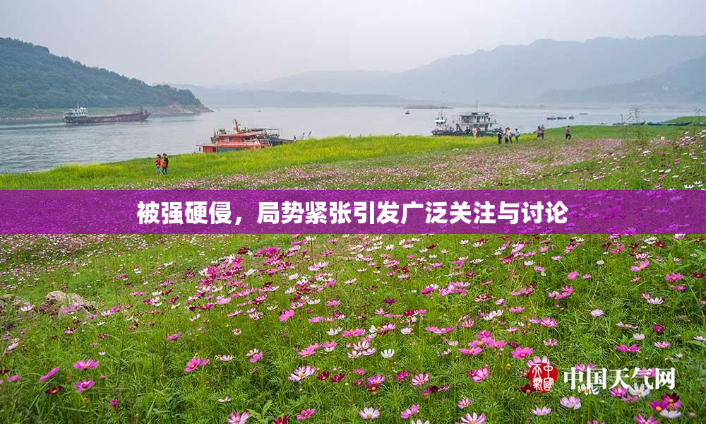 被强硬侵，局势紧张引发广泛关注与讨论