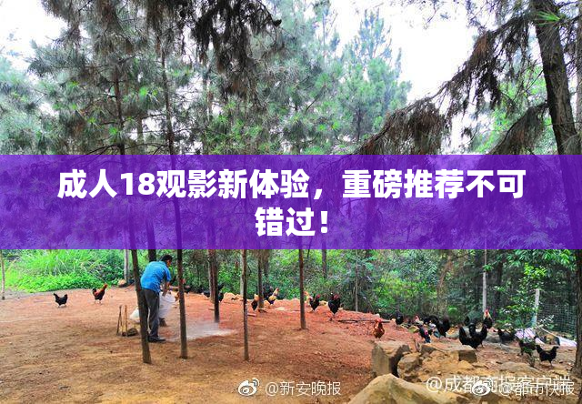 成人18观影新体验，重磅推荐不可错过！