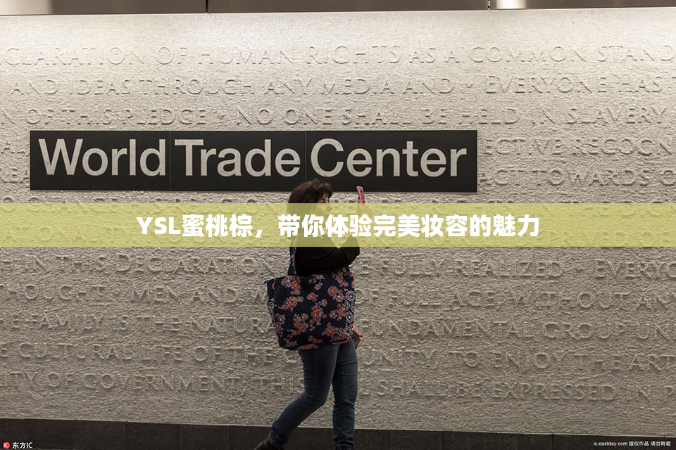 YSL蜜桃棕，带你体验完美妆容的魅力