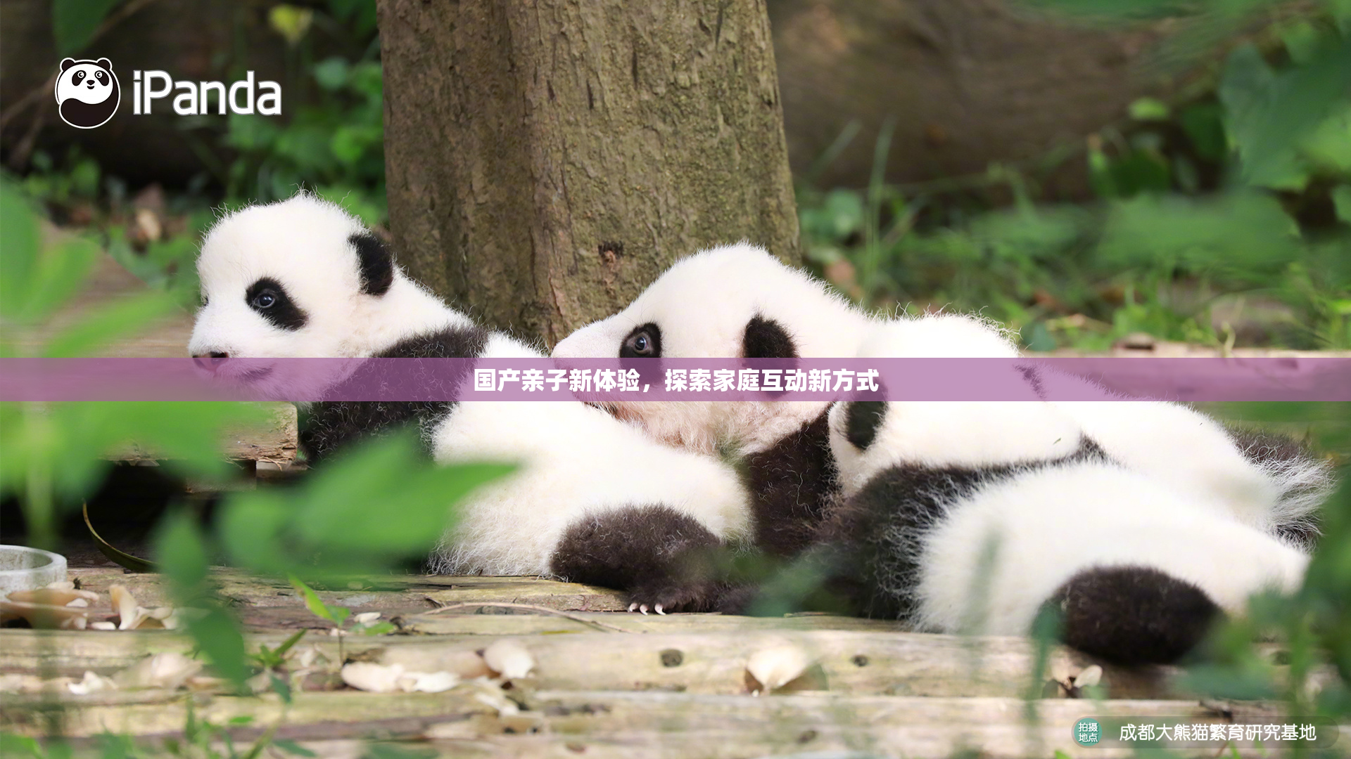 国产亲子新体验，探索家庭互动新方式