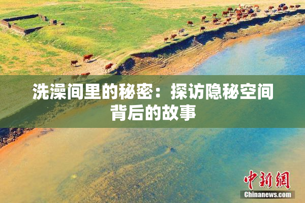 洗澡间里的秘密：探访隐秘空间背后的故事