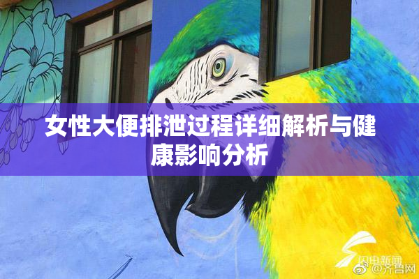 女性大便排泄过程详细解析与健康影响分析