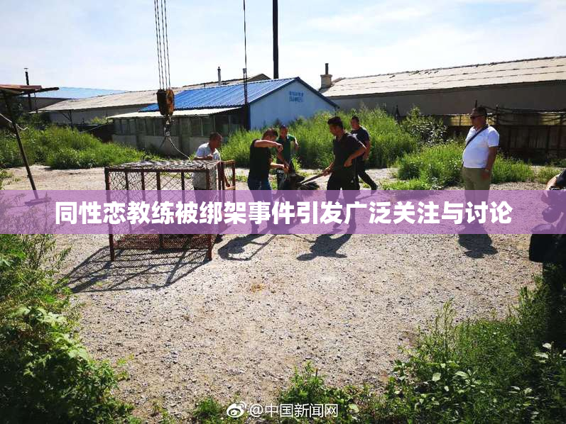同性恋教练被绑架事件引发广泛关注与讨论