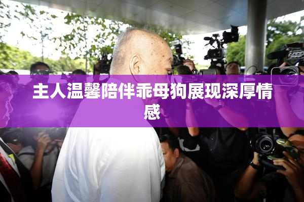主人温馨陪伴乖母狗展现深厚情感