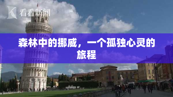森林中的挪威，一个孤独心灵的旅程