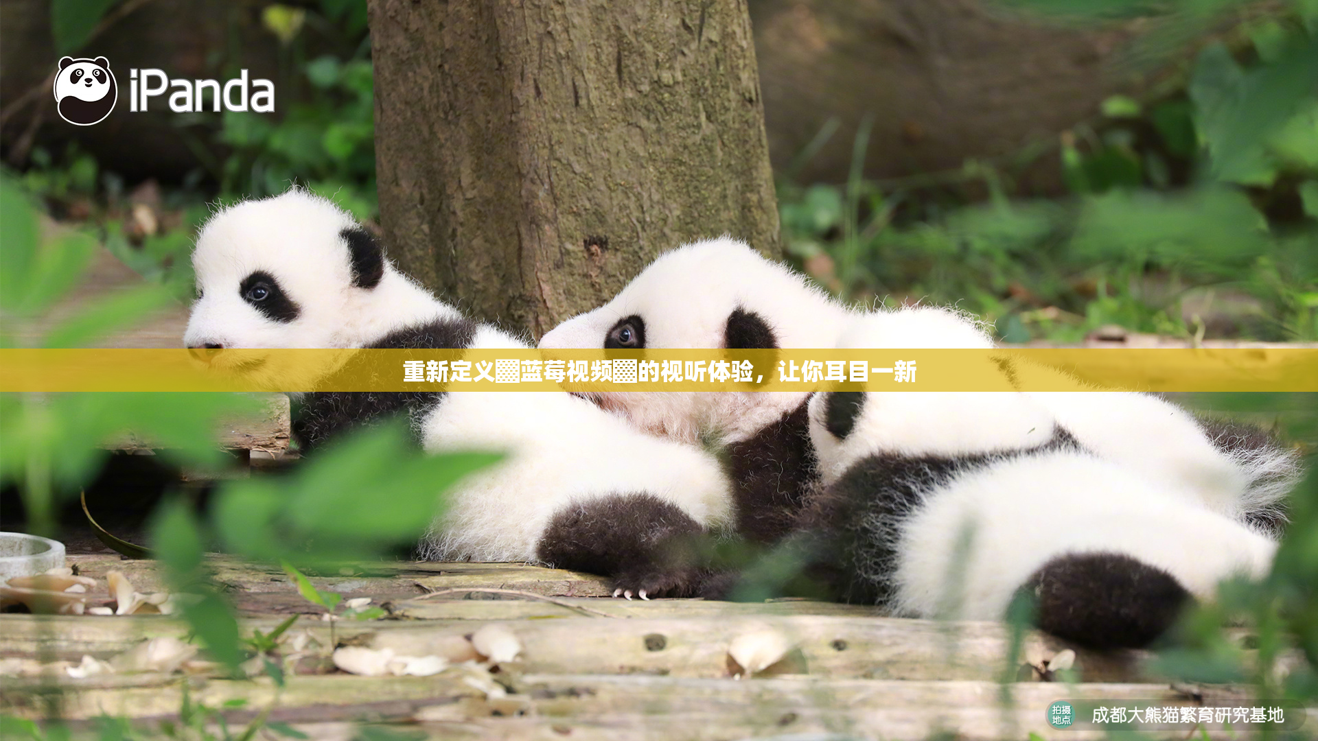 重新定义▓蓝莓视频▓的视听体验，让你耳目一新