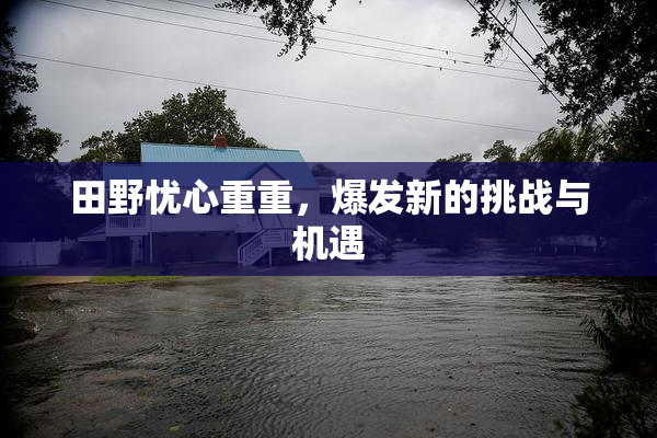 田野忧心重重，爆发新的挑战与机遇