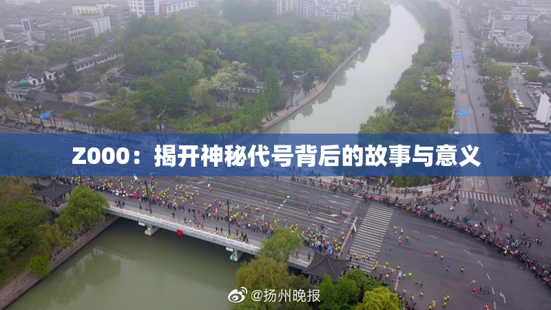 Z000：揭开神秘代号背后的故事与意义