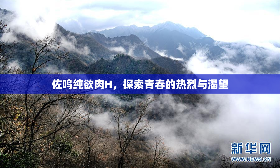 佐鸣纯欲肉H，探索青春的热烈与渴望