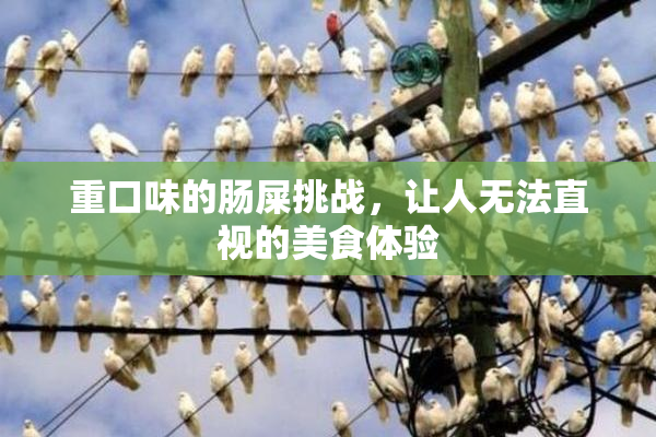 重口味的肠屎挑战，让人无法直视的美食体验