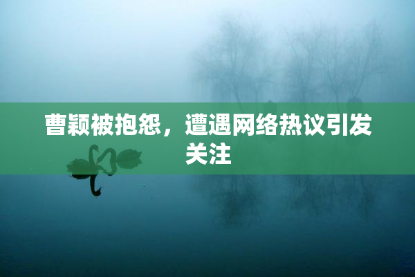 曹颖被抱怨，遭遇网络热议引发关注