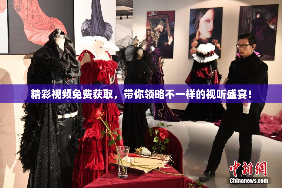 精彩视频免费获取，带你领略不一样的视听盛宴！