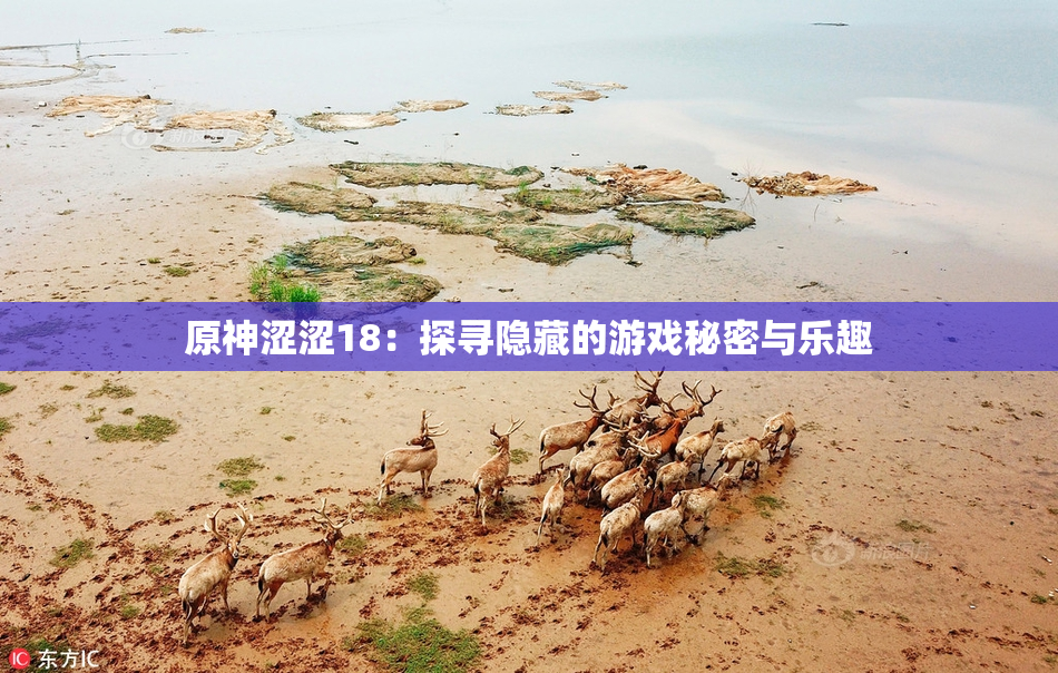 原神涩涩18：探寻隐藏的游戏秘密与乐趣
